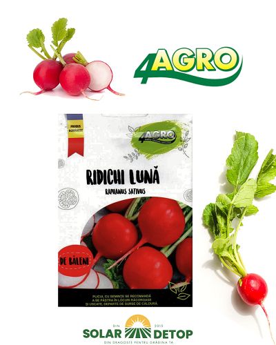 Ridichii de luna Baleni 50gr 4Agro