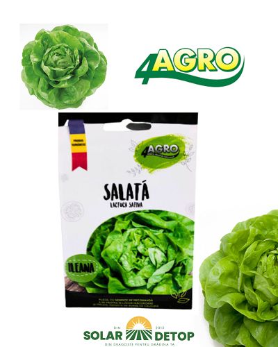 Salata Ileana 1gr 4 Agro