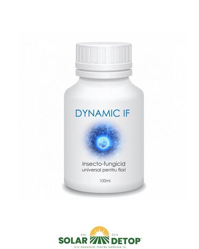 Dynamic IF100ml
