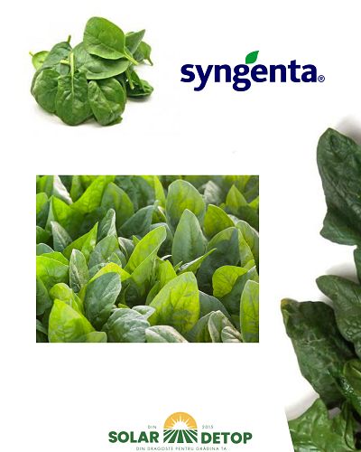 Spanac El Prado F1 100000sem