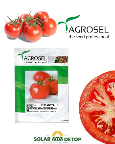 Tomate Elisabeta 3000s
