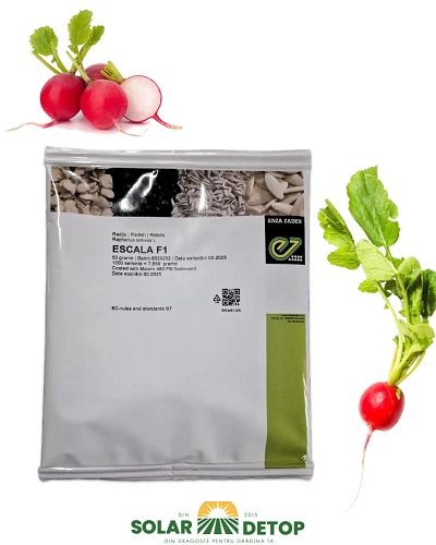 Ridichii Escala F1 50 gr