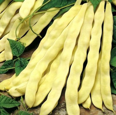 Fasole Urcatoare Alexia 200gr