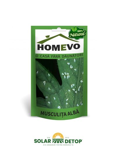 Homevo Musculita Alba 50GR