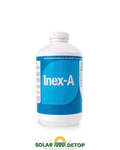 Inex A 1l