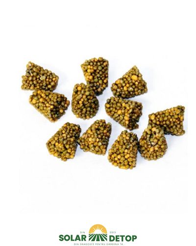 Osmocote con plante verzi