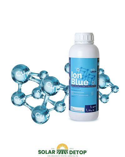 Ion blue 500ml