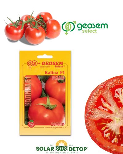 Tomate Kalina F1 50s