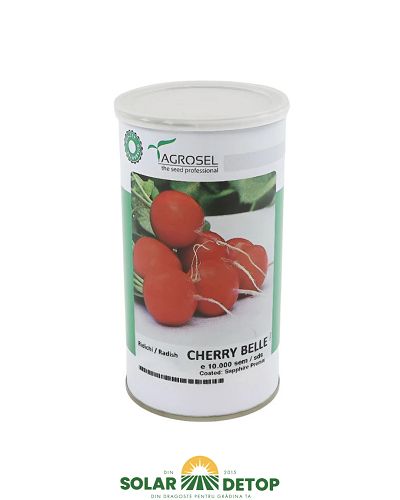 Rid Cherry B 10000sem