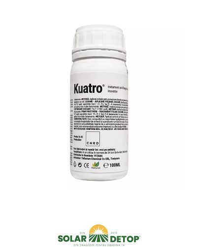 Kuatro 100ml