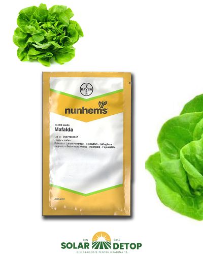 Salata Mafalda 10000sem