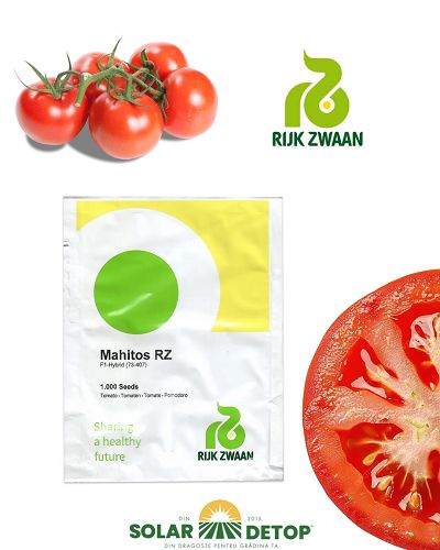 Tomate Mahitos F1 100s