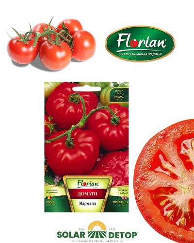 Tomate Marmand 1g