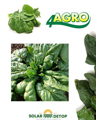 Spanac Matador 500gr sp