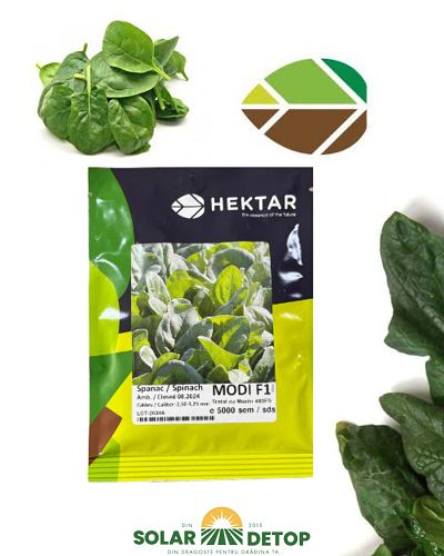 Spanac Modi F1 50000sem