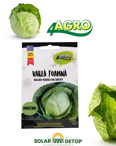 Varza Muntenia 100gr