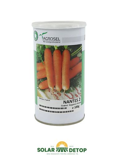 Morcov Nantes  100gr