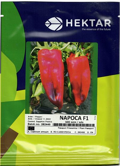 Ardei Napoca F1 100sem