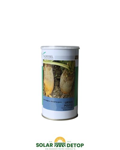 Seminte Sfecla furajera Ursus Poly 100GR