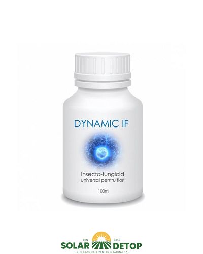 Dynamic IF 100ML