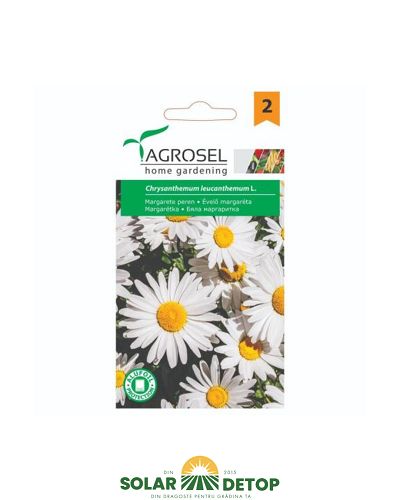 AS PG2 FL Margareta Perena 2gr