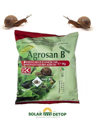 Agrosan B 1kg KOLLANT