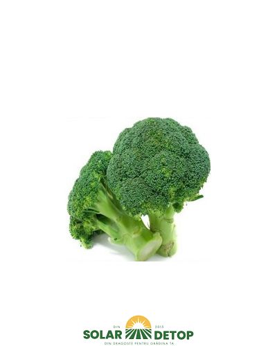 AS PG2 LG Brocoli