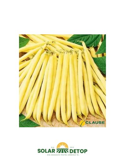 Fas Fruidor 500gr