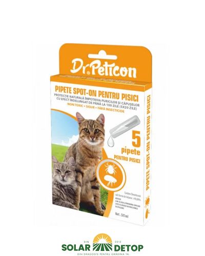 Pipete spot on Dr Peticon pisica