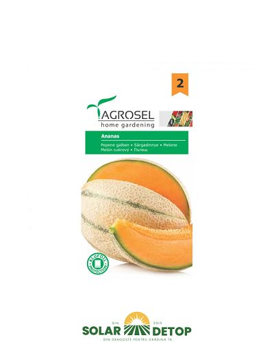 AS PG2 LG Pepene Orange Ananas