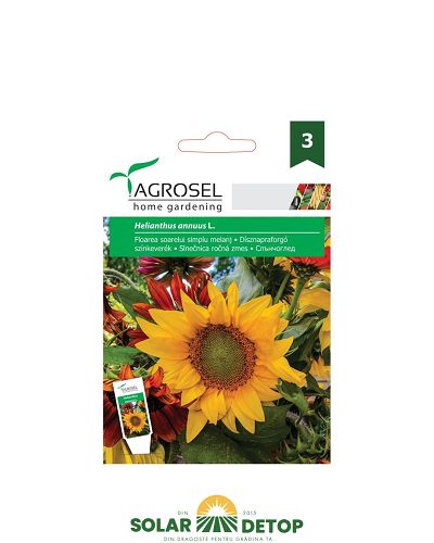 AS PG3 FL Floarea-Soarelui Simplu Melanj