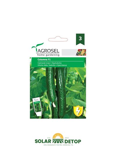 AS PG3 LG Castraveți Columna F1