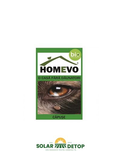 Homevo Capuse 50 GR