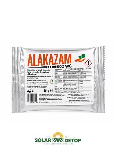 Alakazam 500WG 15GR