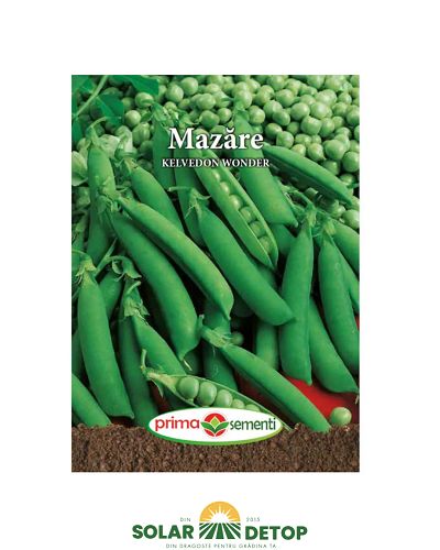 PS Mazare Kelvedon  100gr