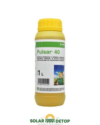Pulsar 1L