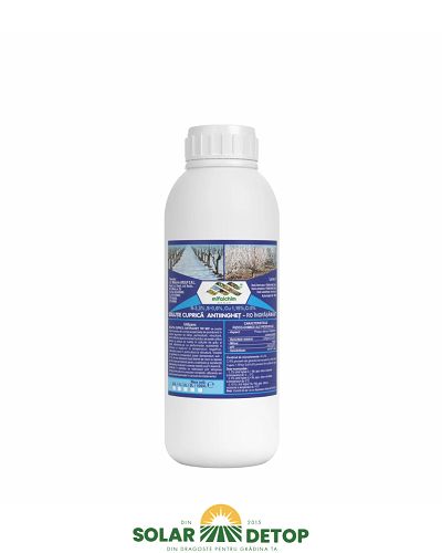 Solutie Anti Inghet 1l