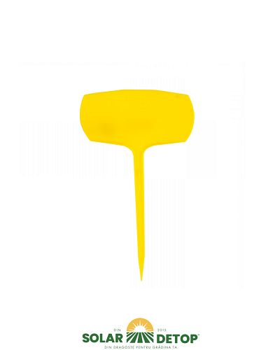 Paleta Etichete Mici