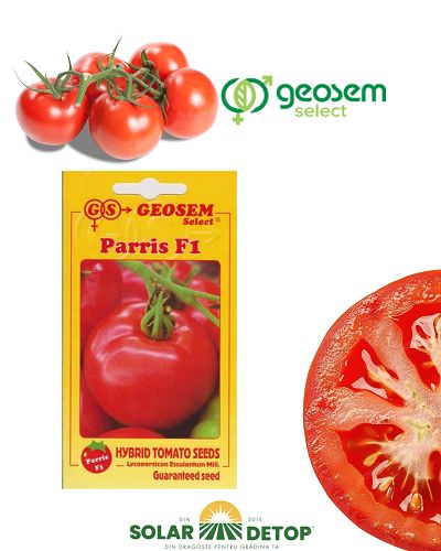 Tomate Paris F1 50s