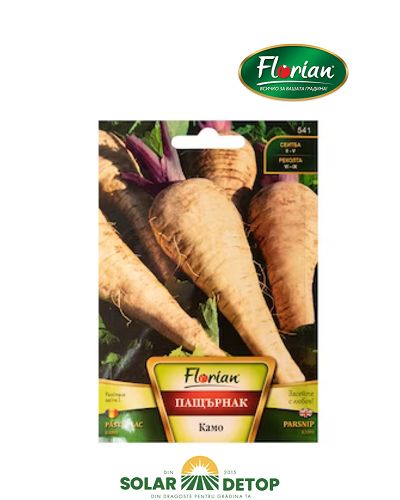 Pastarnac Halblange 3gr BG