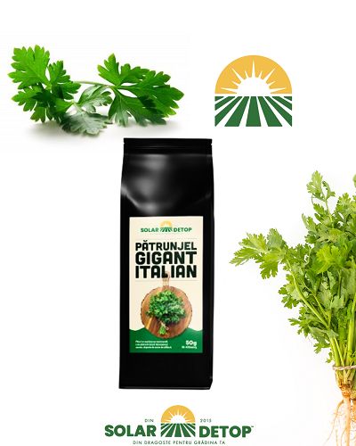 Patrunjel Italian Gigant 50gr