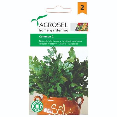 AS PG2 Seminte Patrunjel de frunza Commun 2/Plain Leaved 2 - 3,5g