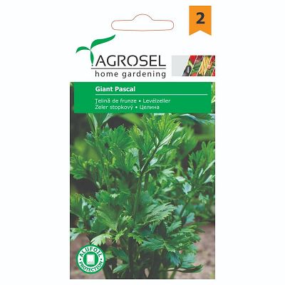AS PGG2 Seminte Telina de frunze Pascal Giant - 0,75g