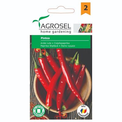 AS PG2 Ardei iute Pintea