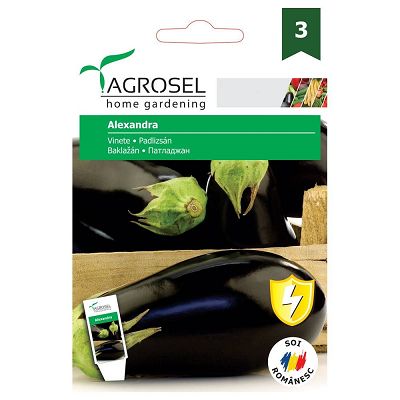 AS PG3 Vinete Alexandra 2gr