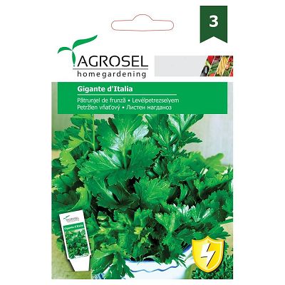 AS PG3 Seminte Patrunjel de frunza Gigante d'Italia - 5g