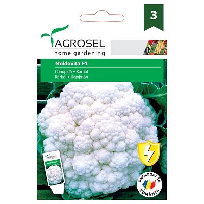 AS PG3 Seminte Conopida Moldovita F1 - 100 sem