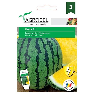 AS PG3 Seminte Pepene verde Peace F1 - 10 sem