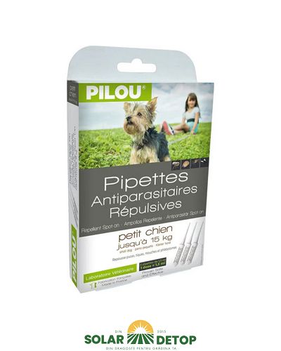 Pipete Caine Mic 1.5ML