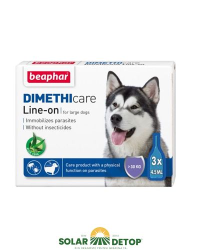 Pipete Caine Talie Mare